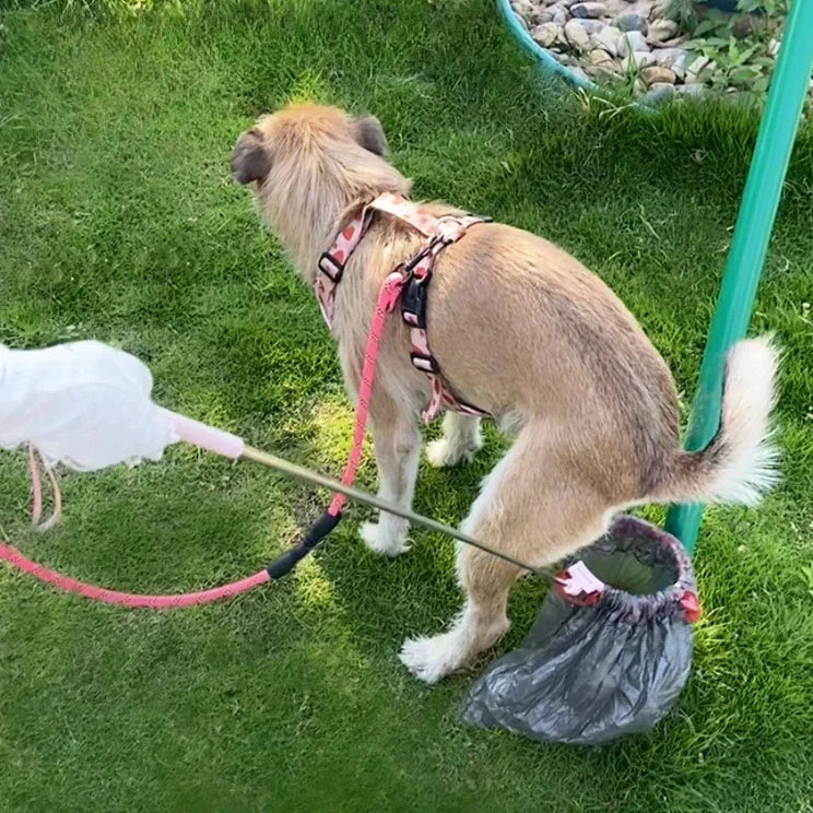 Scooply – Clean Walks, No Bending